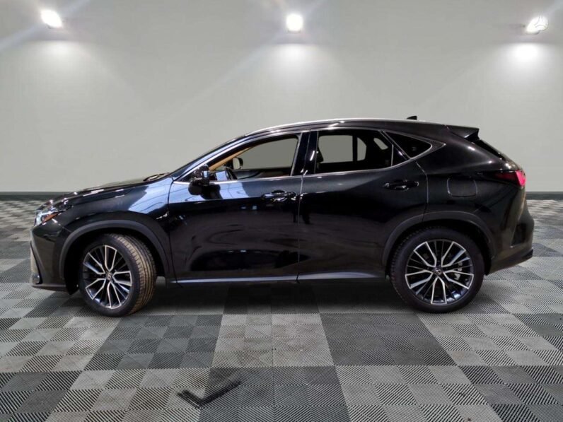 
								Lexus NX 450h+ full									