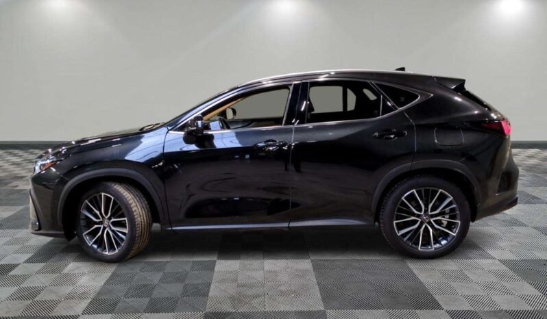 
								Lexus NX 450h+ full									