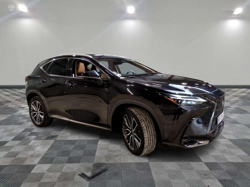 
								Lexus NX 450h+ full									